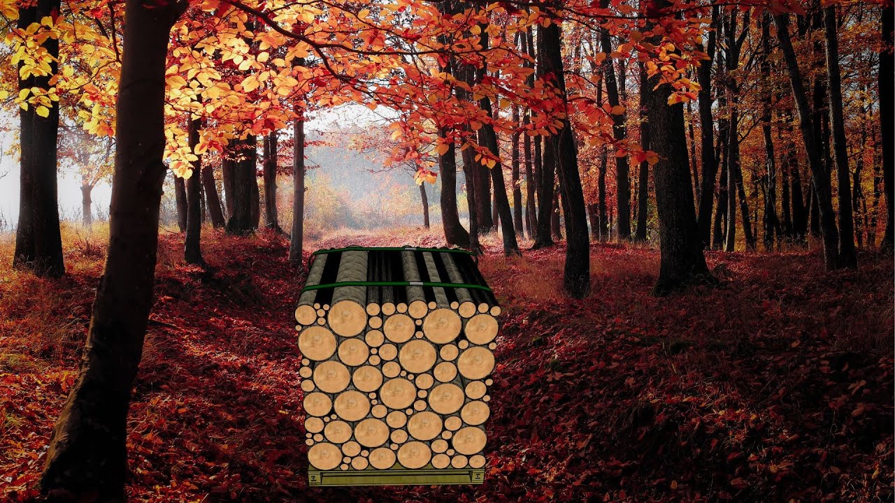 C’est quoi un stère de bois ?