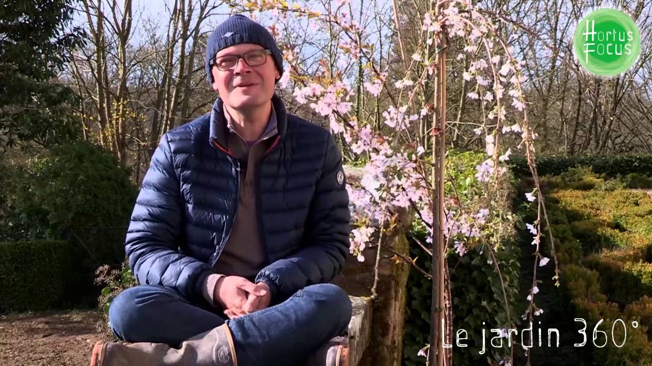 Profession pépiniériste : Franck Sadrin et les cerisiers du Japon