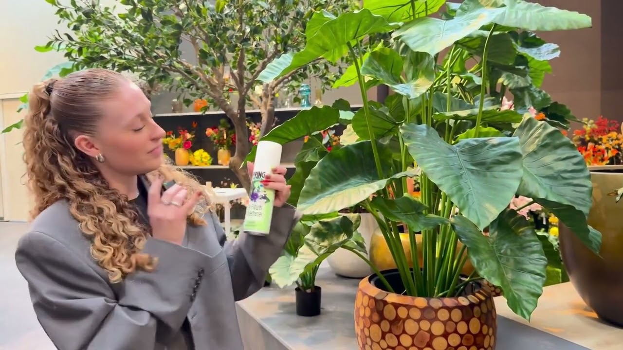 Comment entretenir les plantes artificielles ? | Conseils d’entretien de Maxifleur