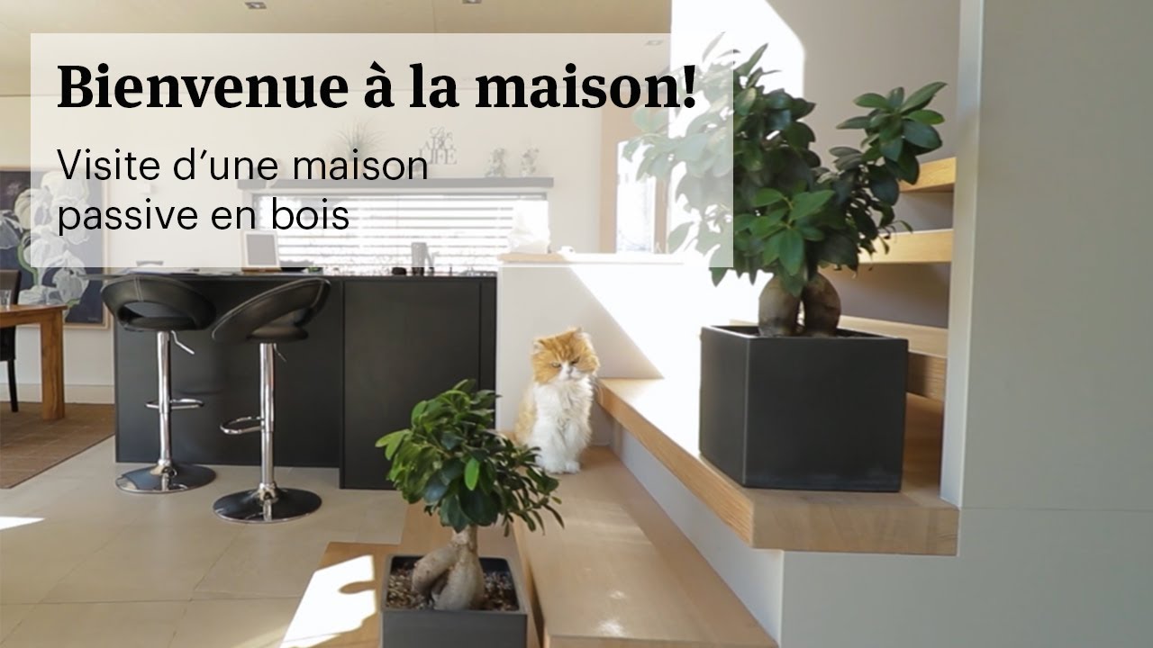 Visitez une maison passive en bois