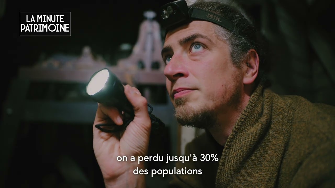 La Minute Patrimoine - Les remparts de Concarneau