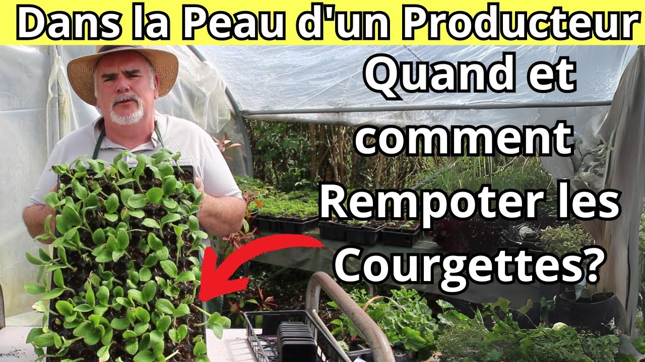 Grand-Père Rempotait les Courgettes Ainsi : Secrets de Famille Révélés