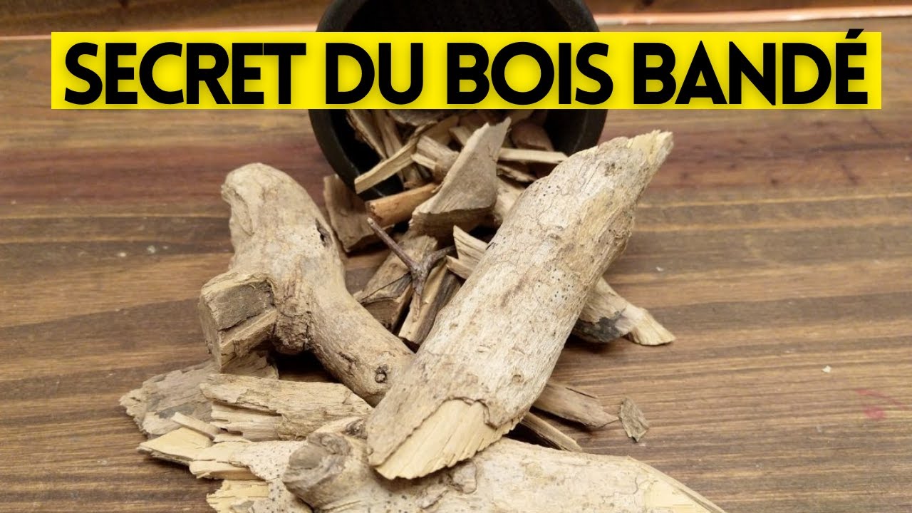 Bois bandé pour être encore plus FORT, et  très PUISSANT!!!!!