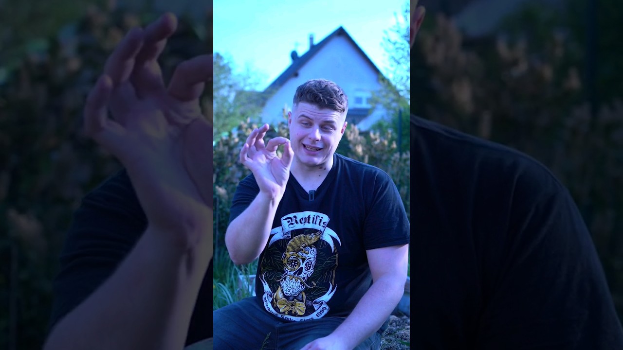 Pourquoi la punaise pue quand on l'écrase ? #short #odeur #biodiversité