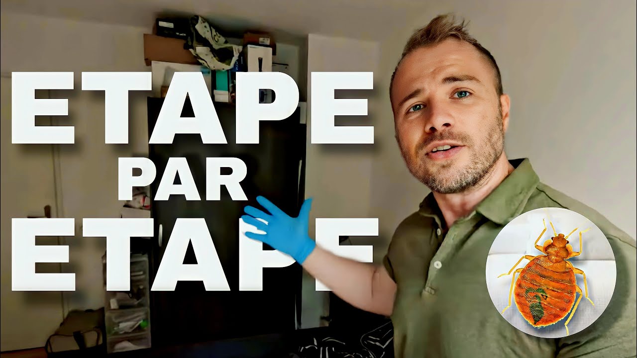 Comment se débarrasser des punaises de lit ? (Protocole complet)
