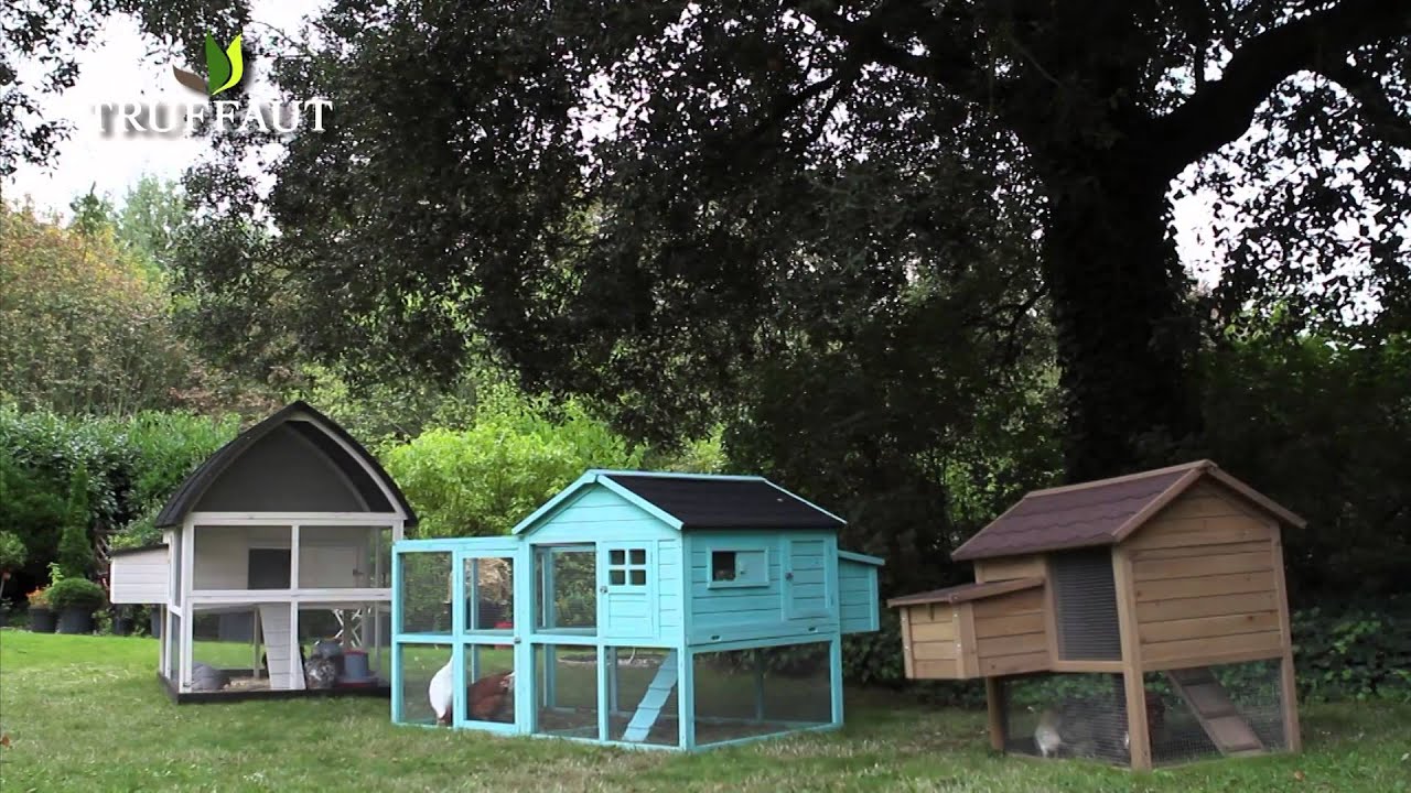 Comment choisir un poulailler : quel poulailler pour mes poules ? - Truffaut