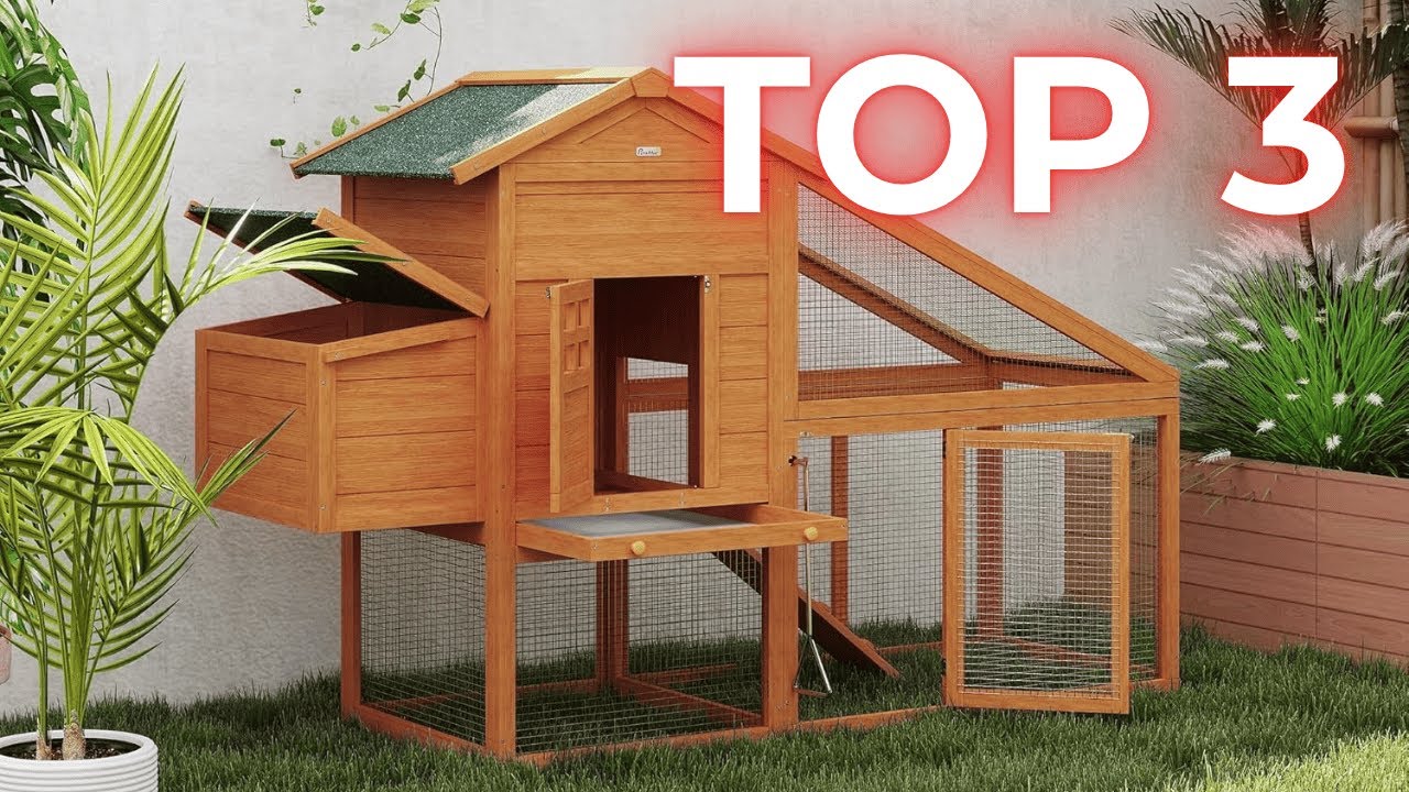 TOP 3 Meilleur Poulailler en Bois 2025