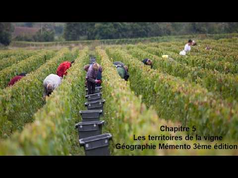 Chapitre 5 Les territoires de la vigne : Géographie Mémento 3ème édition