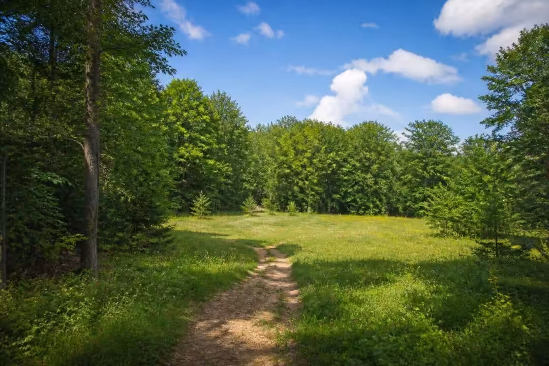 découvrez nos conseils pour bien choisir un terrain boisé constructible et réussir votre projet immobilier en harmonie avec la nature.