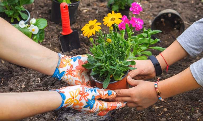 Sécheresse : participez à un atelier pratique pour apprendre à jardiner autrement le 30 août