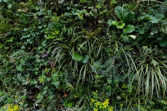 « Jardins Extraordinaires » : Découvrez sur notre site des espaces naturels fascinants, étonnants et parfois inquiétants